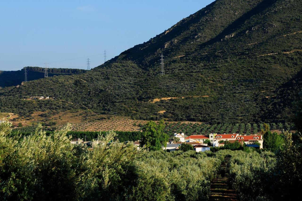 فندق Caparacenaفي  Amalurra Granada المظهر الخارجي الصورة
